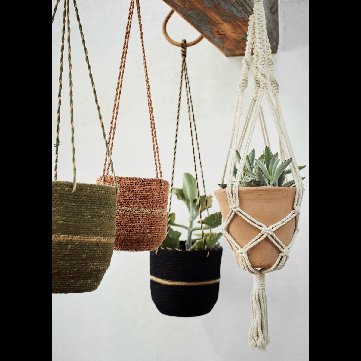 Hanging seagrass baskets