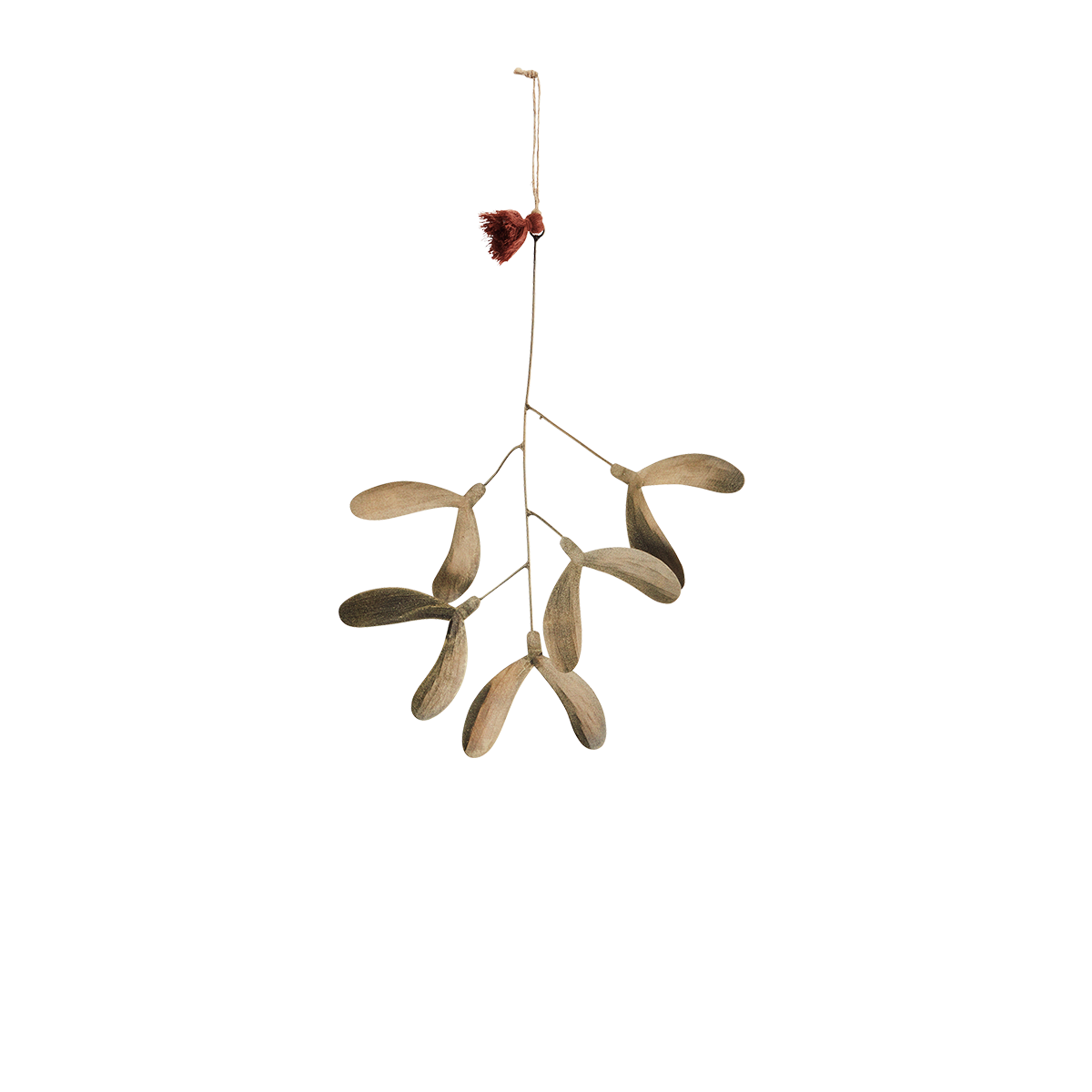 Small iron mistletoe