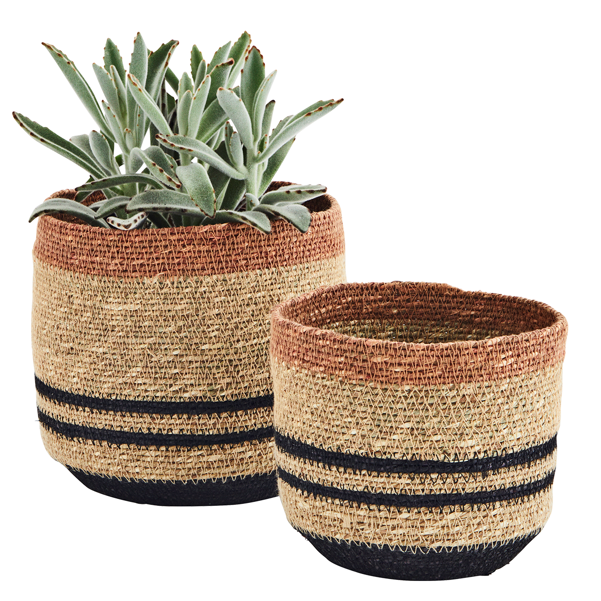 Seagrass baskets w/ stitching