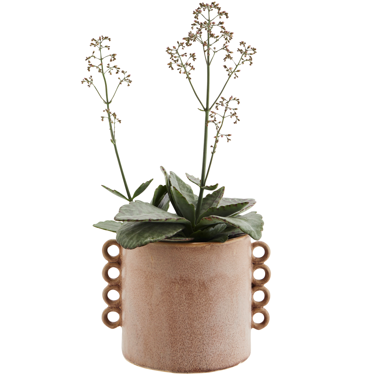 Stoneware flower pot w/ ruffles