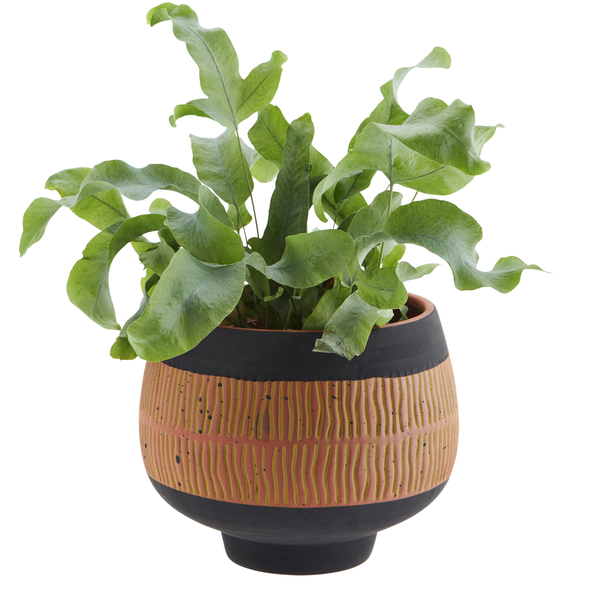 Hand painted terracotta flower pot